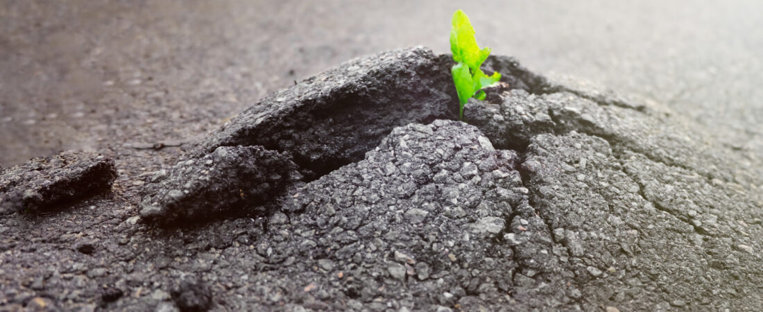 Mental Coach Motivazione: Il Sistema che Forza l’Azione